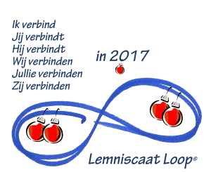 Lemniscaat Loop 2017